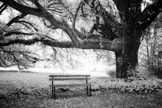 Cicha, łagodna pieśń o pamiętaniu