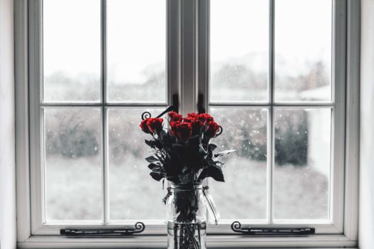 Róże na okno  | Miniatura