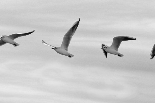 (Po)wietrze | Wiersz